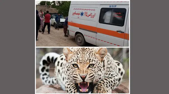 حمله خونین پلنگ به مرد نیشابوری / جای پنجه ها روی گردن و صورت جاماند + عکس