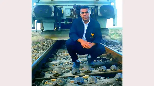 توقف قطار بخاطر صحنه ای عجیب / در سیرجان رخ داد + عکس