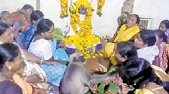  همدردی یک میمون با صاحب عزا