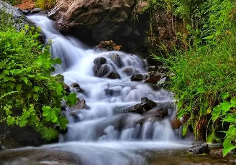 تصویر طبیعت ناتر