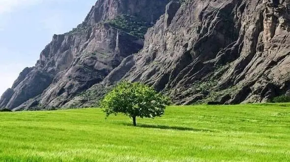 در کنار آبشار و جنگل دور از هیاهو