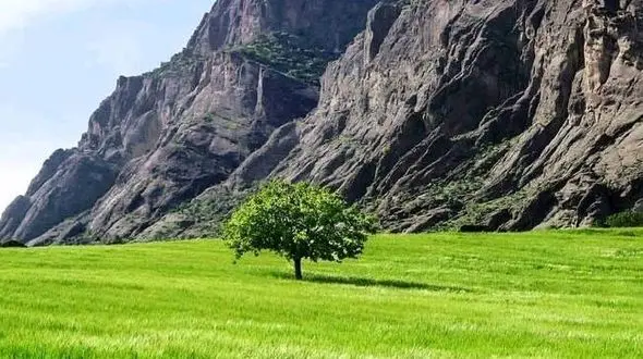 در کنار آبشار و جنگل دور از هیاهو