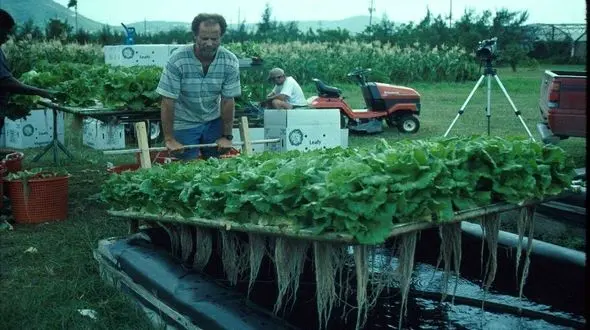 آکواپونیک چیست؟+فیلم