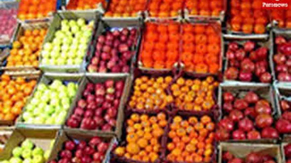 سرما و گرانی میوه در تهران