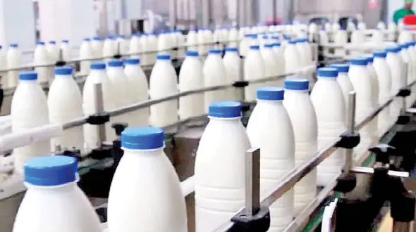 فوری / قیمت جدید شیر اعلام شد