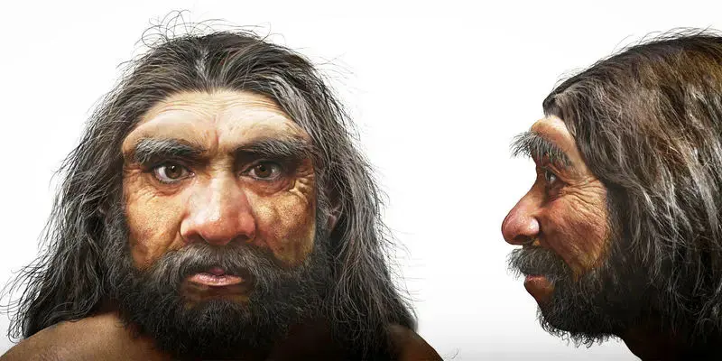  اجداد اولیه انسان