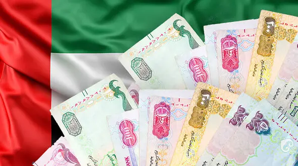 قیمت درهم امارات به تومان، امروز سه شنبه 13 ذر ماه 1403 