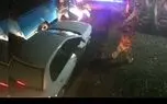3 قاچاقچی چوب حمله کننده به جنگلبانان مازندران دستگیر شدند/ جریمه قاچاق باید 20 برابر قیمت کنونی چوب باشد  + فیلم