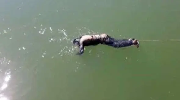 سد پسیخان قربانی گرفت/ مرگ در سد پسیخان