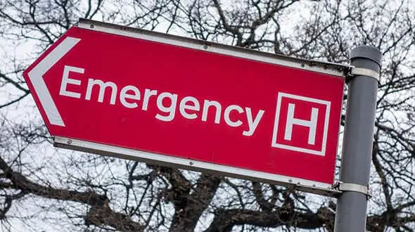 سقوط مرگبار چندین تنه درخت و الوار روی خودروی لوکس / 4 تن دردم کشته شدند