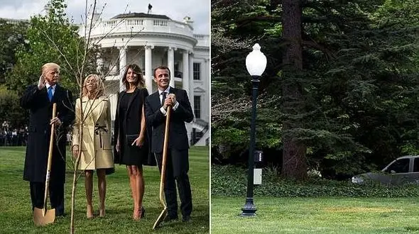 هدیه ماکرون به ترامپ در کاخ سفید ناپدید شد +عکس