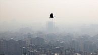 هوای تهران آلوده است / در 1401، پایتخت فقط 2 روز هوای پاک داشت 
