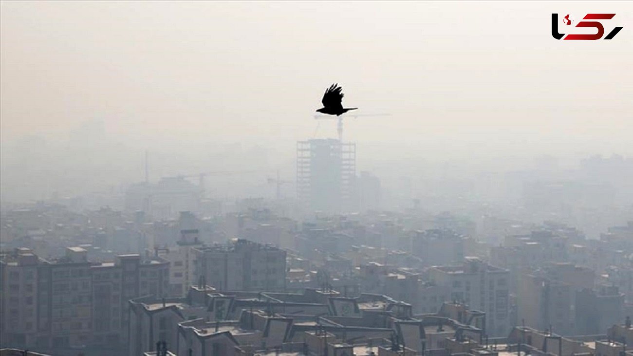 هوای تهران آلوده است / در 1401، پایتخت فقط 2 روز هوای پاک داشت 