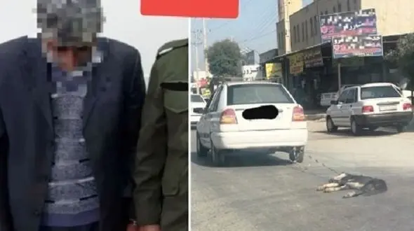انتشار عکس سگی که با ماشین روی زمین کشیده می شد! / این مرد را باید مجازات کرد + جزییات