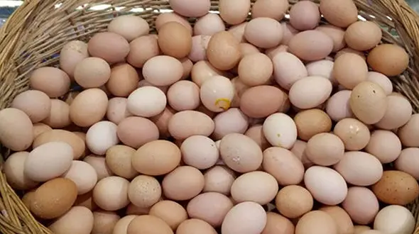 افزایش بی‌ سابقه قیمت تخم‌مرغ تا 290 هزار تومان در بازار آزاد / نهادهای نظارتی کجا هستند؟
