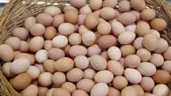 افزایش 144 درصدی قیمت تخم‌ مرغ در پنج ماه!