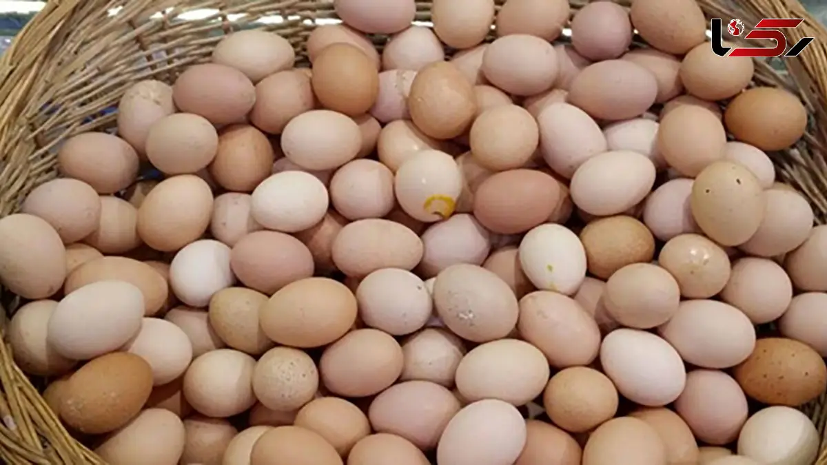 افزایش 144 درصدی قیمت تخم‌ مرغ در پنج ماه!