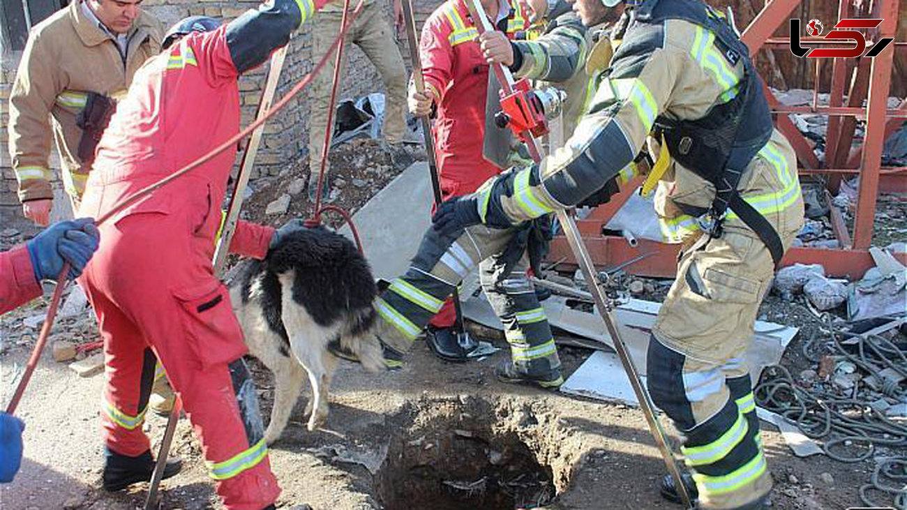 نجات سگ نگهبان از اعماق چاه + عکس