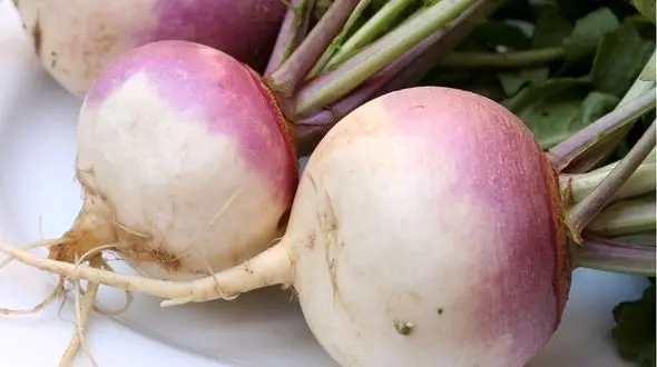 معجون ضد سرماخوردگی مخصوص فصل سرما