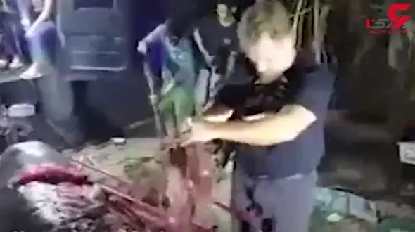 فاجعه زیست محیطی که با کالبدشکافی معده یک نهنگ برملا شد + فیلم 