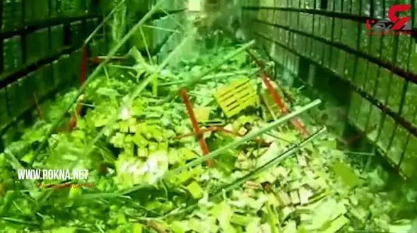 فروریختن قفسه های یک انبار+ عکس