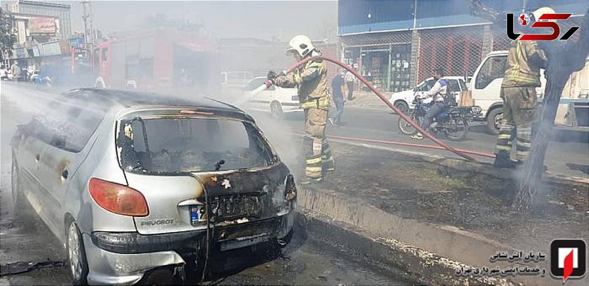 ۲ سرنشین پژو در آتش سوختند / در جاده بندرعباس رخ داد + عکس