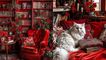 طراحی ویژه خانه‌ ای که دل پرسپولیسی‌ ها را برد