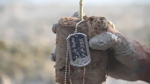 کاشت ۵۰ نهال حرا به یاد ۵۰ شهید محیط بان محیط زیست کشور