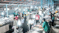 گشت و گذار در بازار ماهی انزلی