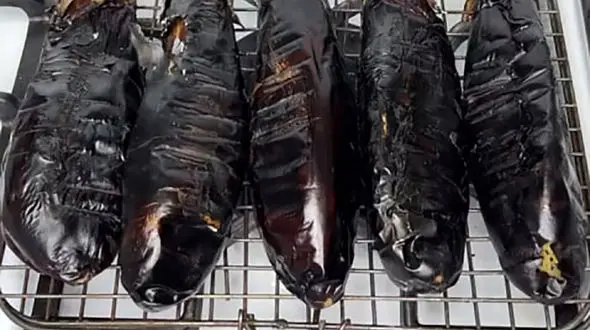 آموزش یک پیش غذای گیلانی فوق العاده خوشمزه + فیلم