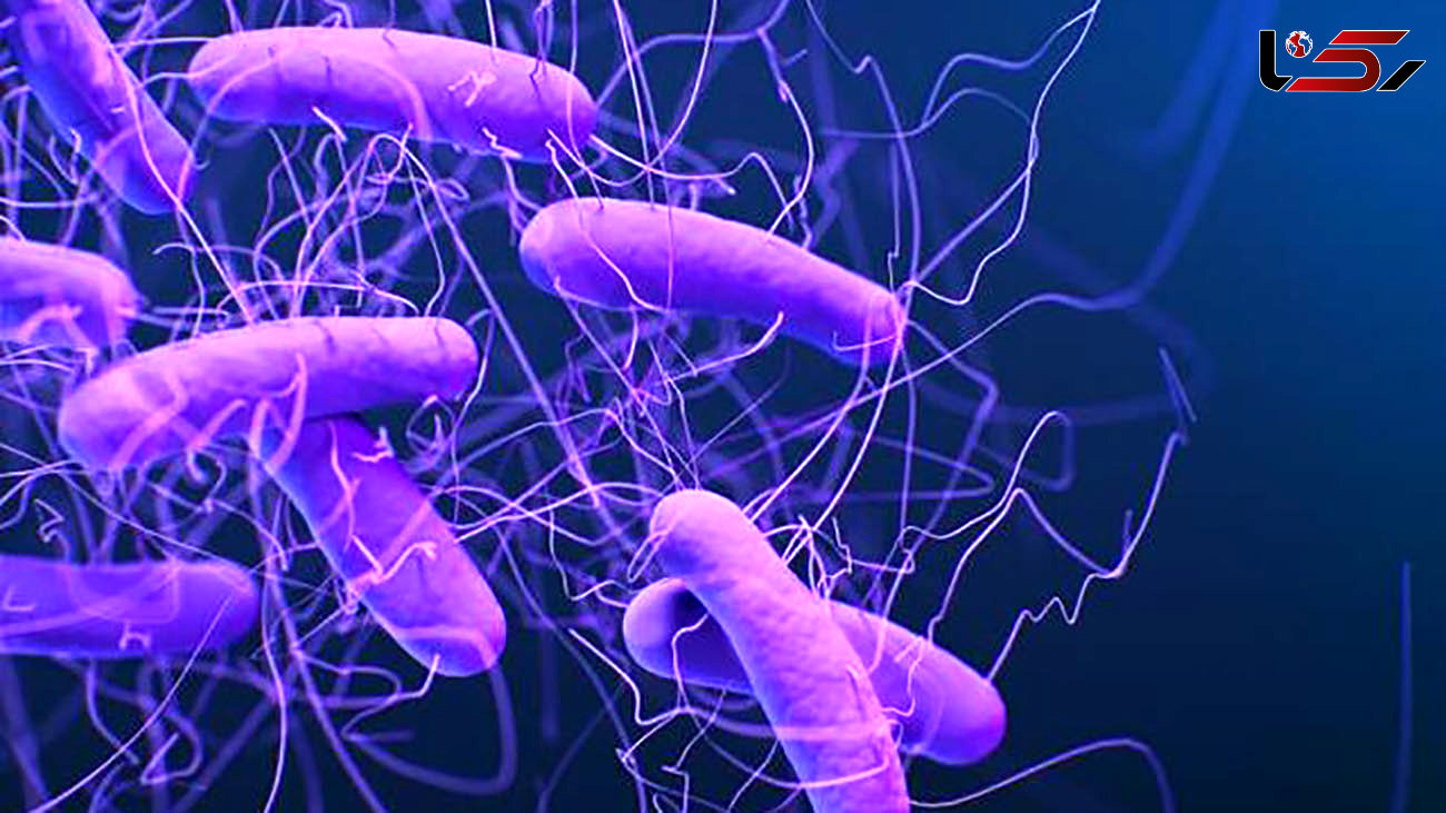 شناسایی باکتری‌های مقاوم در برابر دارو 
