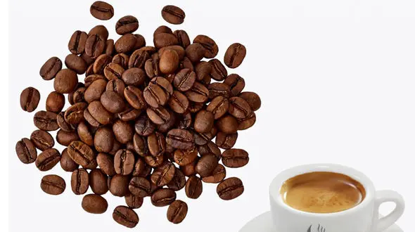 شناسایی قاتلان چربی بدن 