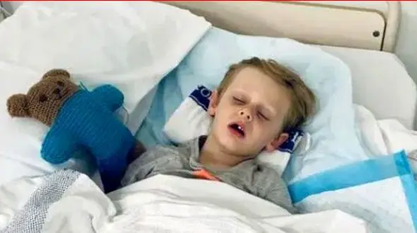 این کودک را مارپیتون بلعید  /   او زنده ماند + عکس / استرالیا