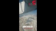 صحنه‌ هوایی از مسیر پروازی هواپیمای تهران - یاسوج روی دنا + فیلم