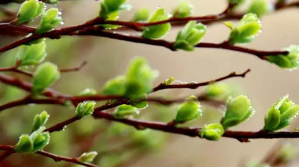 فال ابجد امروز / 28 فروردین + فیلم