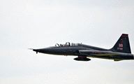 2 Dead after US Military Jet Crashes near Alabama Airport 