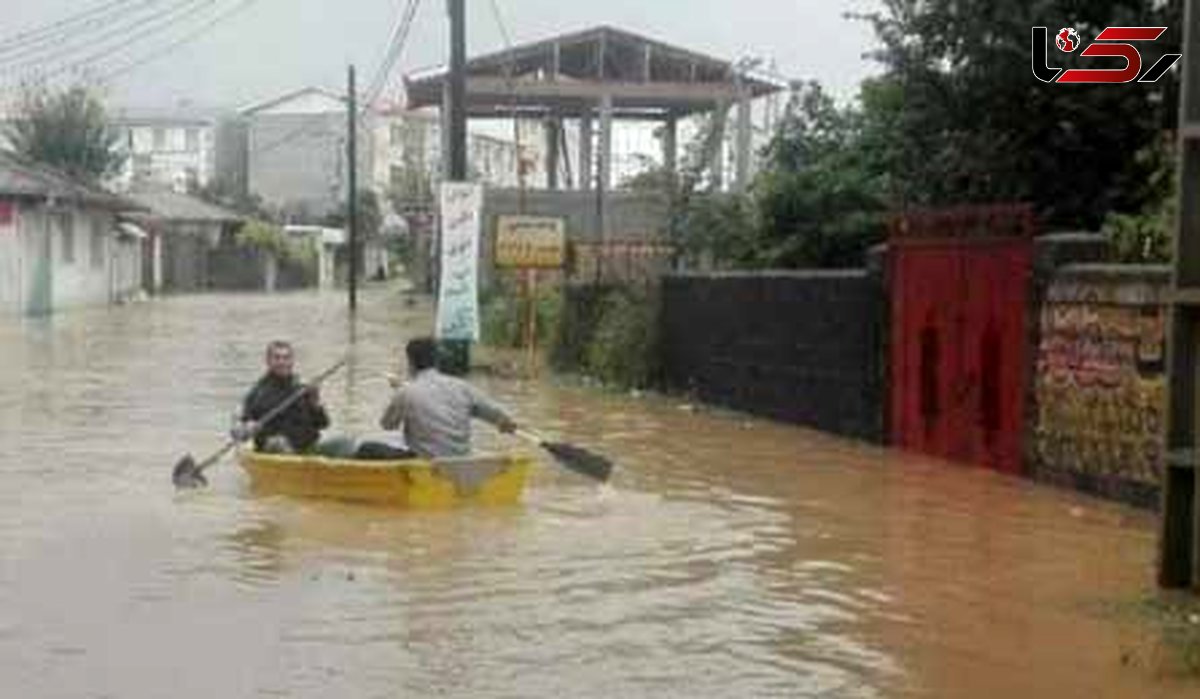 کشف ونیز در ایران/کنایه ای به مسئولان+عکس