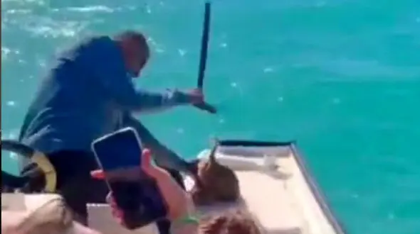 حیوان‌آزار گناوه تحت پیگرد قانونی قرار گرفت +جزییات