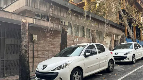 ورود دادستانی تهران به موضوع قطع درختان در خیابان فرشته