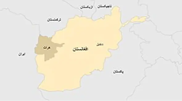 دختر بچه به آغوش پدر نرفت آنقدر کتک خورد که کشته شد