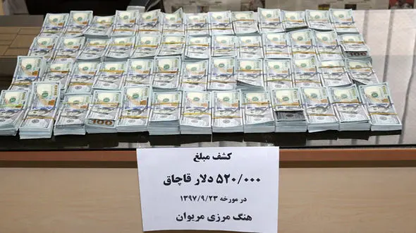 کشف ۵۲۰ هزار دلار ارز قاچاق در مرز مریوان+عکس 