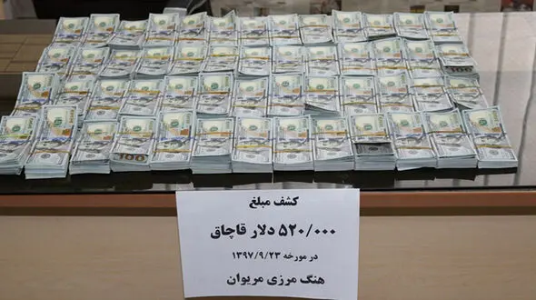 کشف ۵۲۰ هزار دلار ارز قاچاق در مرز مریوان+عکس 