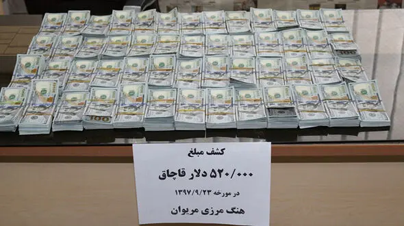 کشف ۵۲۰ هزار دلار ارز قاچاق در مرز مریوان+عکس 