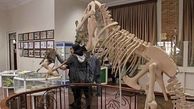 موزه هفت چنار تا پایان سال بازسازی و احیا می شود