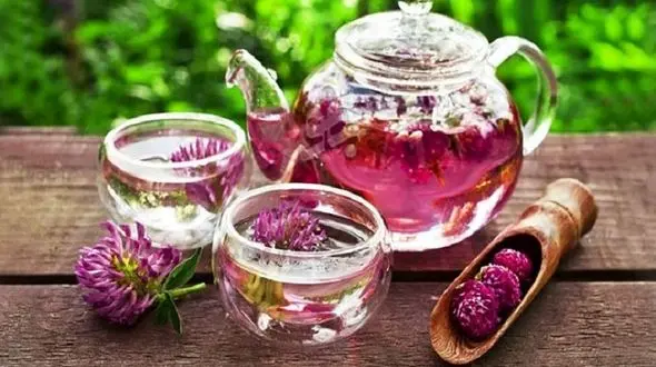 سلامت کبد و دستگاه گوارش با این دمنوش گیاهی