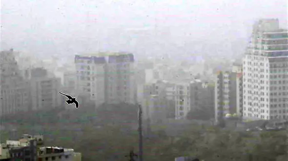 هشدار وقوع طوفان شن و خسارت به کشاورزان / هواشناسی ایران امروز 11 خرداد