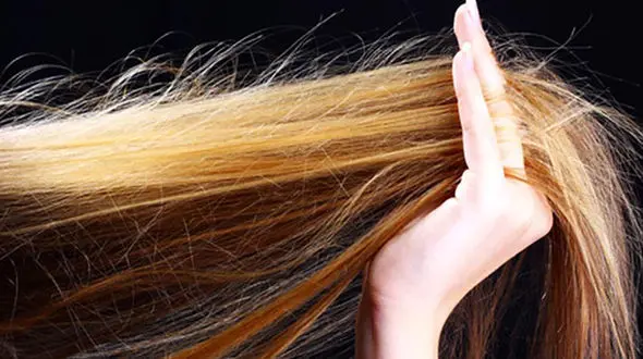 راهکار جلوگیری از موخوره