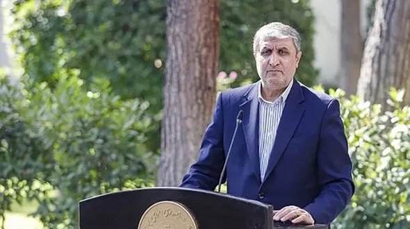 اسلامی: مذاکرات من و گروسی ارتباطی به رفع تحریم‌ها نداشت