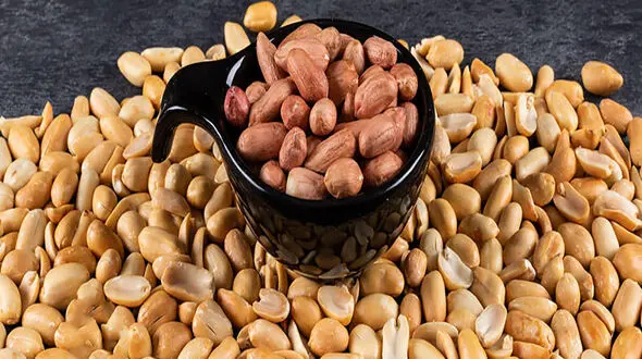 نکته رژیمی بادام زمینی و مویز