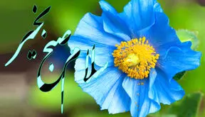 جملات سلام صبح بخیر امروز + فیلم